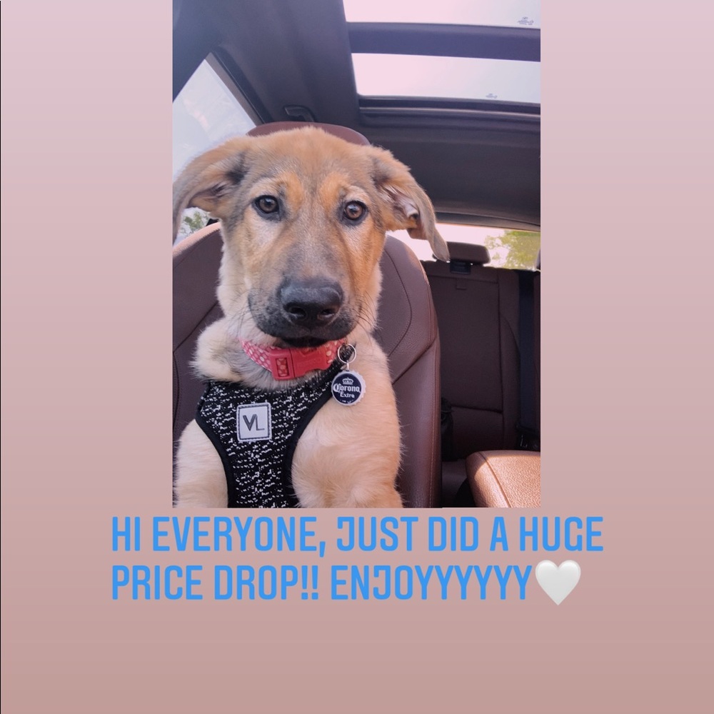 ‼️PRICE DROP ON ALL ITEMS‼️